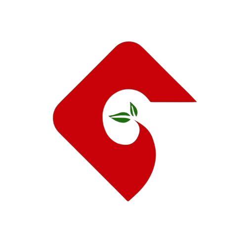 ঘুড়ি